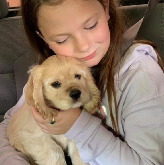 Meet your Posher, Paul - Picture 1 of 1